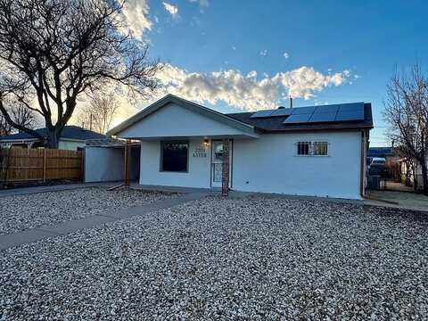 Aster, PUEBLO, CO 81005
