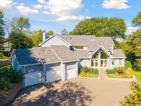 Austrian Pine, HOPKINS, MN 55305