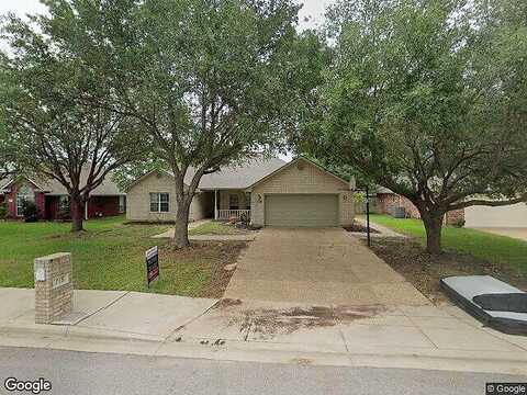 Aster, COLLEGE STATION, TX 77845