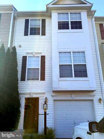 Persimmon, CULPEPER, VA 22701