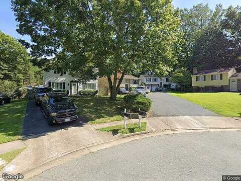Yellow Leaf, SPRINGFIELD, VA 22153
