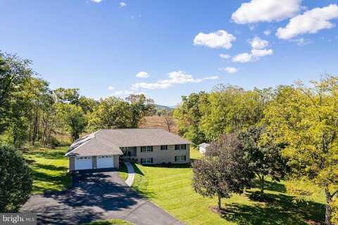 Whimsy, WINCHESTER, VA 22602