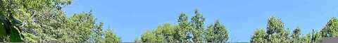 Branch, SCOTTSVILLE, VA 24590