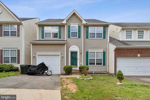 Cranberry, CULPEPER, VA 22701