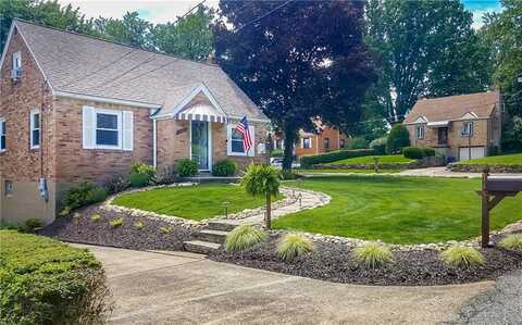 Lily, GLENSHAW, PA 15116
