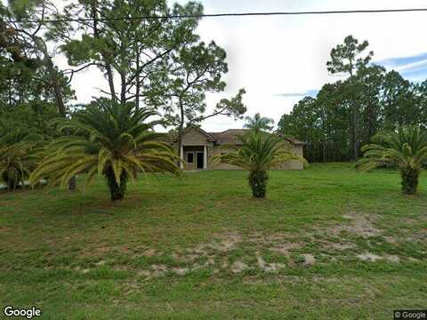 Golddust, SPRING HILL, FL 34609