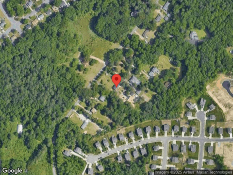 Conifer, NORTH CHESTERFIELD, VA 23237