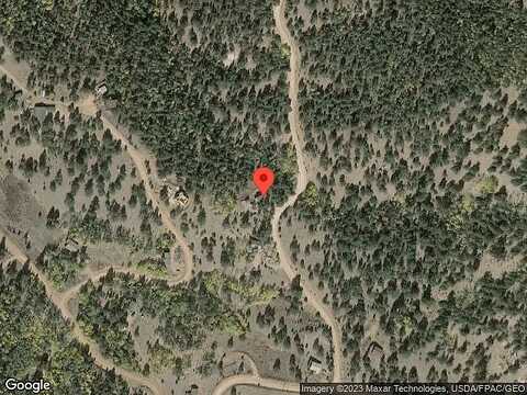 Troy, CRIPPLE CREEK, CO 80813