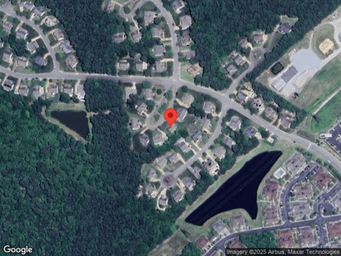 River Birch, CARROLLTON, VA 23314
