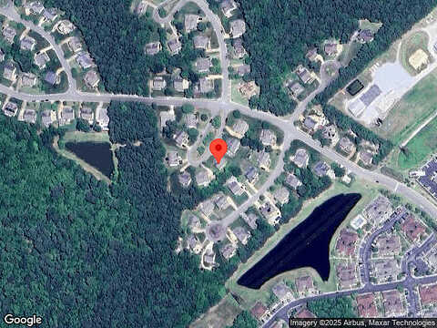 River Birch, CARROLLTON, VA 23314