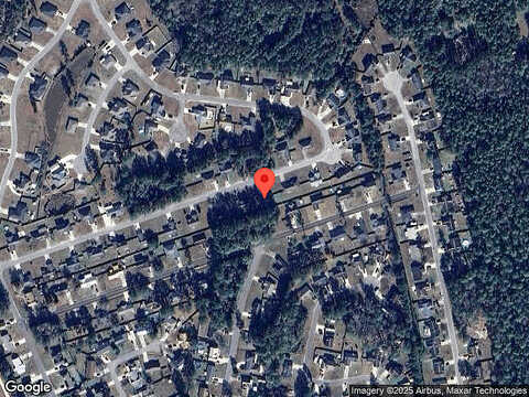 Sugar Maple, KINGSLAND, GA 31548