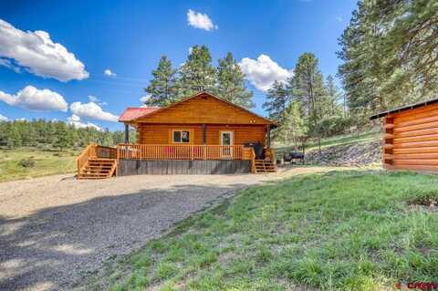 Hurt, PAGOSA SPRINGS, CO 81147