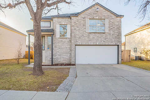 Cerezo, SAN ANTONIO, TX 78250
