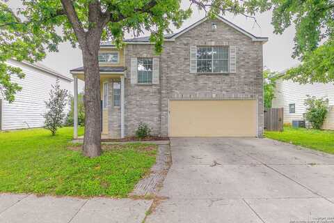 Cerezo, SAN ANTONIO, TX 78250