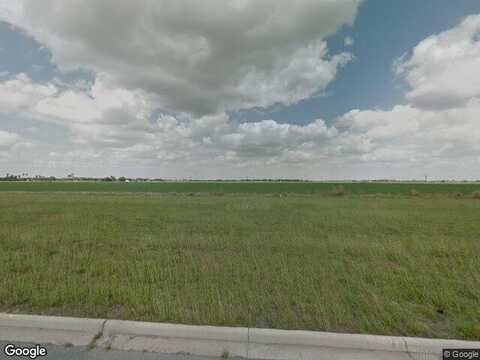 Pink Flamingo, HARLINGEN, TX 78552