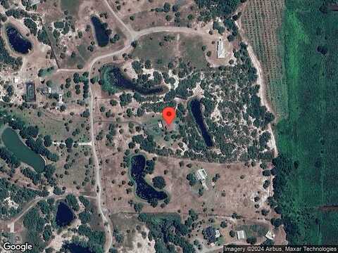 Bear, LAKE PLACID, FL 33852