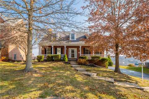 Molly, CANONSBURG, PA 15317