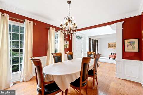 Silver Birch, HUNTINGDON VALLEY, PA 19006