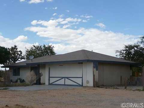 Mitch, LANDERS, CA 92285