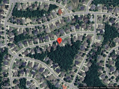 Dahoon, PENSACOLA, FL 32526