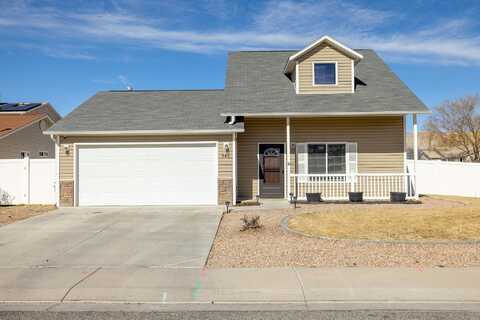 Purple Ash, CLIFTON, CO 81520