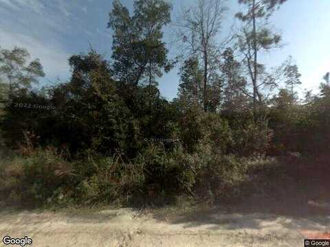 Peppermint, MIDDLEBURG, FL 32068