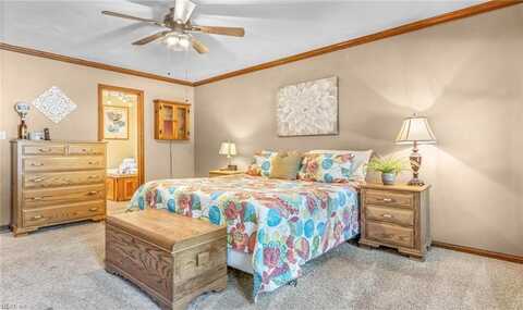 Spice Bush, CHESAPEAKE, VA 23320