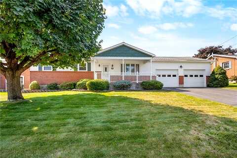 Sycamore, NAZARETH, PA 18064