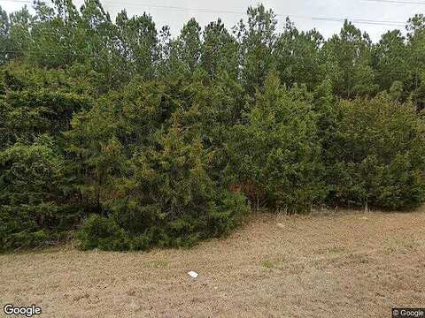 Cobbham, APPLING, GA 30802