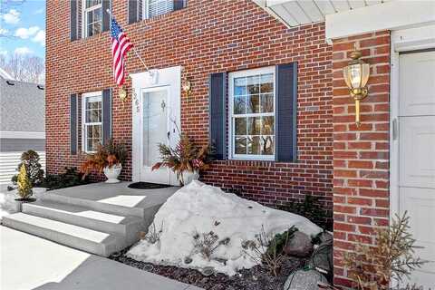 Narcissus, VICTORIA, MN 55386