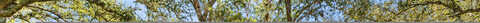 West, GREEN COVE SPRINGS, FL 32043