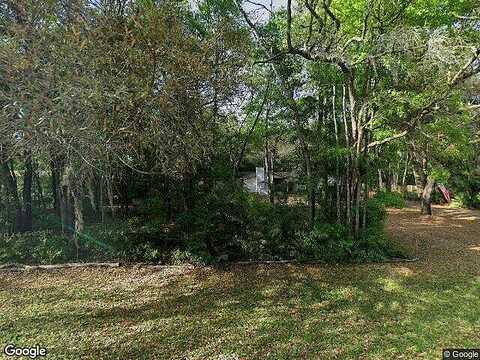 Chokeberry, MIDDLEBURG, FL 32068