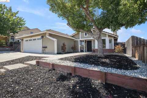 Palomar, ANTIOCH, CA 94531