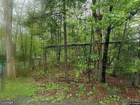 Panther, TOBYHANNA, PA 18466