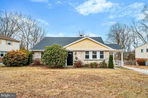 Josie, HAVERTOWN, PA 19083