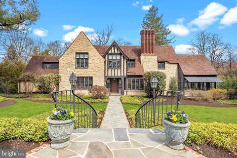 Panther, JENKINTOWN, PA 19046
