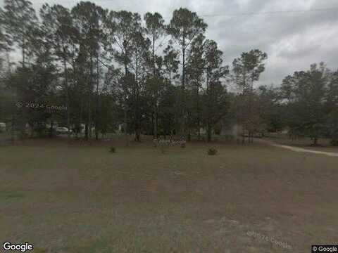 Lions Den, GREEN COVE SPRINGS, FL 32043