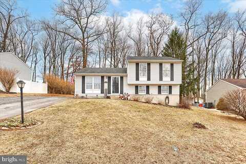 Cedar, STEWARTSTOWN, PA 17363
