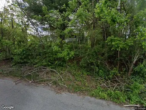 Chestnut, VINTON, VA 24179