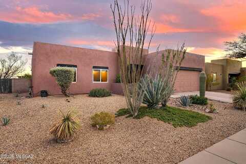 Cottonmouth, TUCSON, AZ 85742