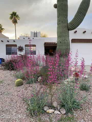 Camino De La Tierra, TUCSON, AZ 85742