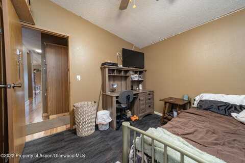 Tamarack, PARACHUTE, CO 81635