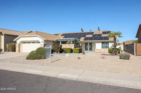 Alpaca, SUN CITY WEST, AZ 85375