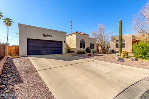 Renard, TUCSON, AZ 85737