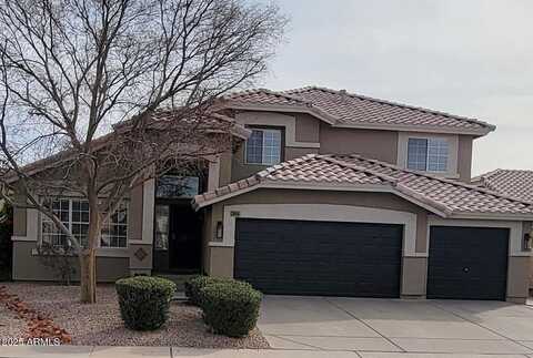 Pinto, GILBERT, AZ 85296