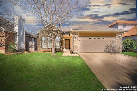 Burgundy, SAN ANTONIO, TX 78217