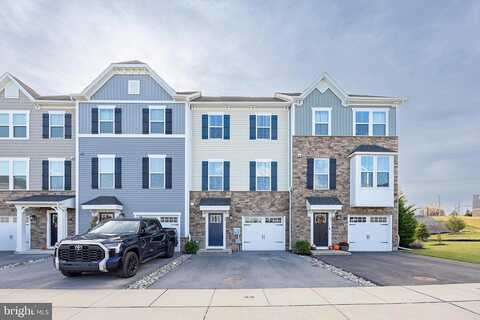 Glory Maple, DOWNINGTOWN, PA 19335