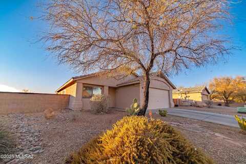 Lemon Tree, TUCSON, AZ 85757