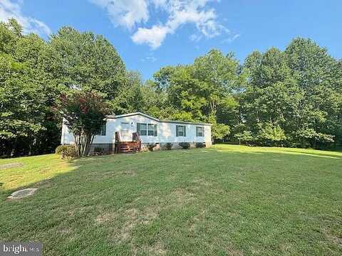 Cedar Tree, RAPIDAN, VA 22733