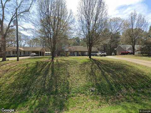 Ringer, HOGANSVILLE, GA 30230